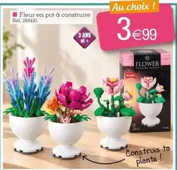 Kandy Sluban - fleur en pot à construire offre