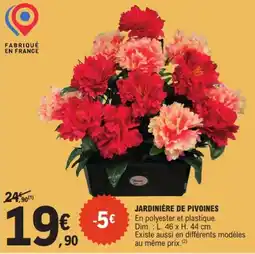 E.Leclerc JARDINIÈRE DE PIVOINES offre