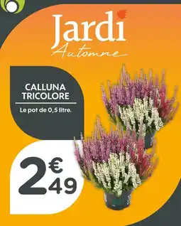Point Vert Calluna tricolore offre
