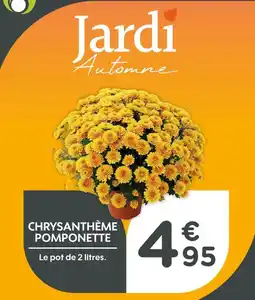 Point Vert Chrysanthème pomponette offre