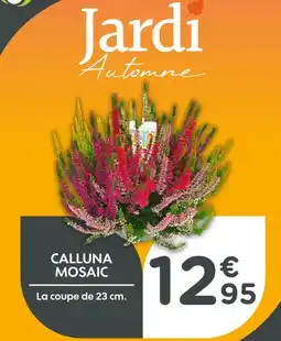 Point Vert Calluna mosaic offre