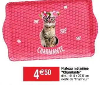 Cora x Carrefour Plateau mélaminé "charmante" offre