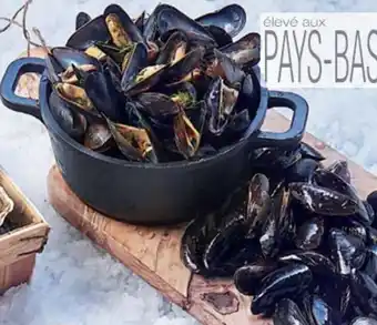 Cora x Carrefour Moules de hollande offre
