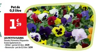 Auchan Les petits fleuris offre
