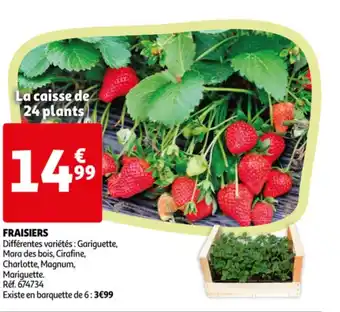 Auchan Fraisiers offre