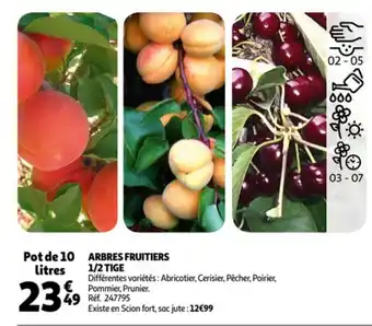 Auchan Arbres fruitiers 1/2 tige offre
