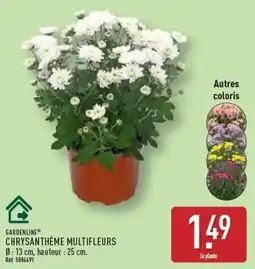 ALDI GARDENLINE CHRYSANTHÈME MULTIFLEURS offre