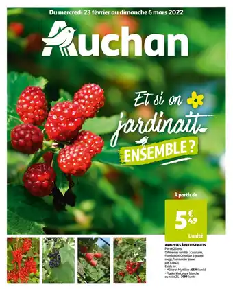 Auchan Arbustes à petits fruits offre