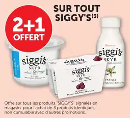 Bi1 siggi's SKYR offre