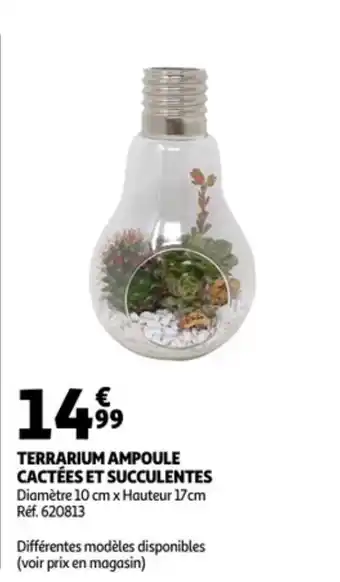 Terrarium ampoule cactées et succulentes