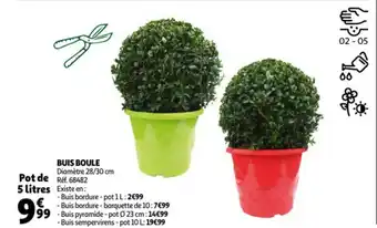 Auchan Buis boule offre