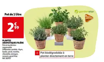 Auchan Plantes aromatiques filière offre