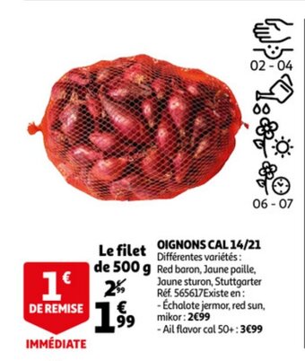 Auchan Oignons cal 14/21 offre