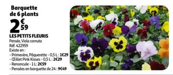 Auchan Les petits fleuris offre
