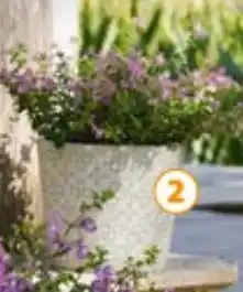 Auchan Pot ciment H.14 cm offre