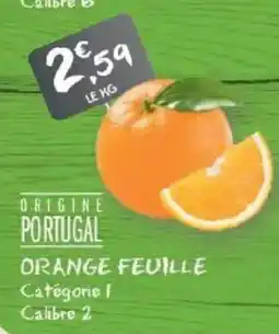 G20 ORANGE FEUILLE offre