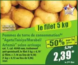 Norma Agata/Taisiya/Marabel/Artemis offre