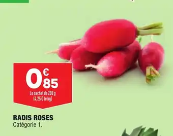 ALDI Radis Roses offre