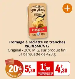 Coccinelle Express RICHESMONTs Fromage à raclette en tranches offre