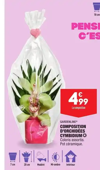ALDI Composition d'Orchidées offre