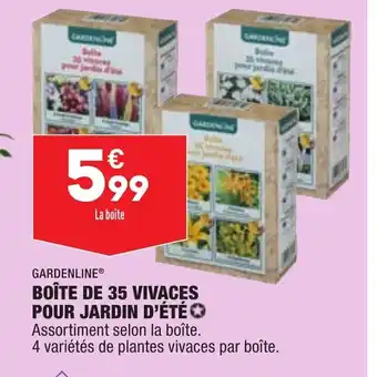 Boîte de 35 Vivaces