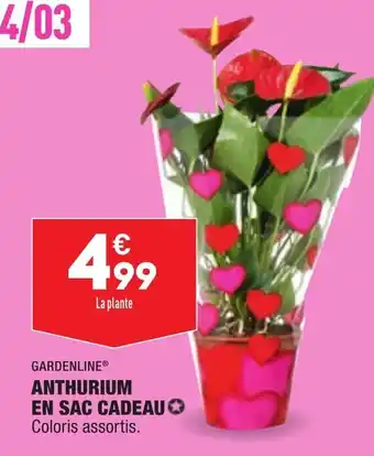 ALDI Anthurium En Sac Cadeau offre