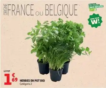 HERBES EN POT BIO