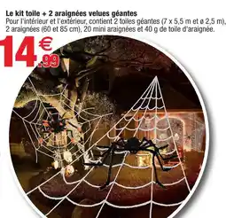 Bazarland Le kit toile + 2 araignées velues géantes offre