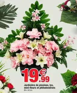 Bazarland Jardinière de pivoines, lys, mini-fleurs et philodendrons offre