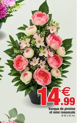 Bazarland Vasque de pivoine et mini renoncule offre