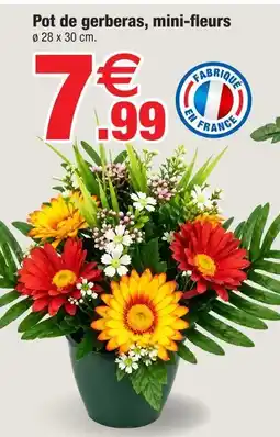 Bazarland Pot de gerberas, mini-fleurs offre