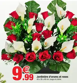 Bazarland Jardinière d'arums et roses offre