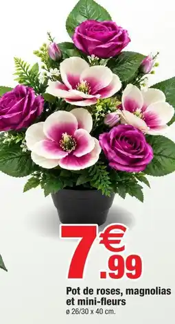Bazarland Pot de roses, magnolias et mini-fleurs offre