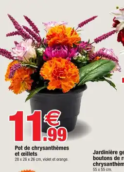Bazarland Pot de chrysanthèmes et oeillets offre