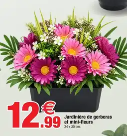 Bazarland Jardinière de gerberas et mini-fleurs offre