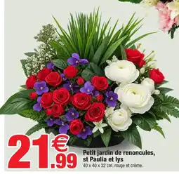 Bazarland Petit jardin de renoncules, st paulia et lys offre