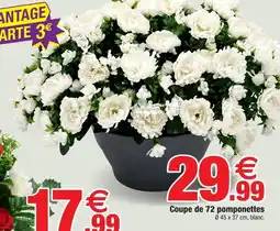 Bazarland Coupe de 72 pomponettes offre
