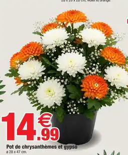 Bazarland Pot de chrysanthèmes et gypso offre