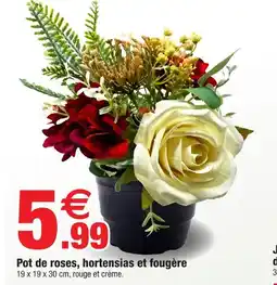 Bazarland Pot de roses, hortensias et fougère offre