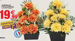 Bazarland Jardinière de 9 chrysanthèmes offre