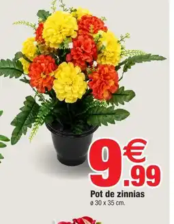 Bazarland Pot de zinnias offre
