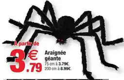 Bazarland Araignée géante offre