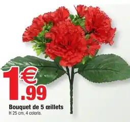 Bazarland Bouquet de 5 œillets offre
