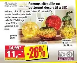 Norma Pomme, citrouille ou butternut décoratif à led offre