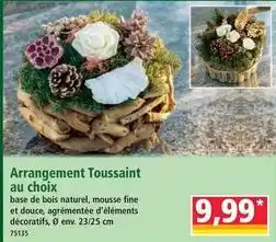 Norma Arrangement toussaint au choix offre