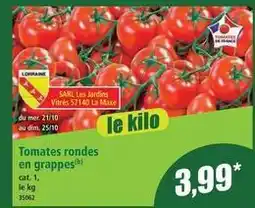 Norma Dim - tomates rondes en grappes offre