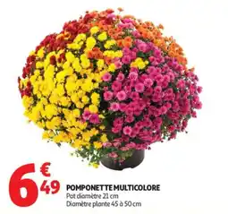 Auchan POMPONETTE MULTICOLORE offre