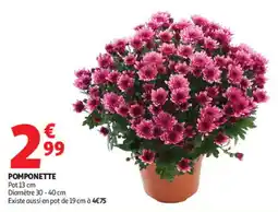 Auchan POMPONETTE offre