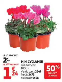 Auchan MINI CYCLAMEN offre