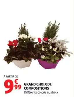 Auchan Grand choix de compositions offre